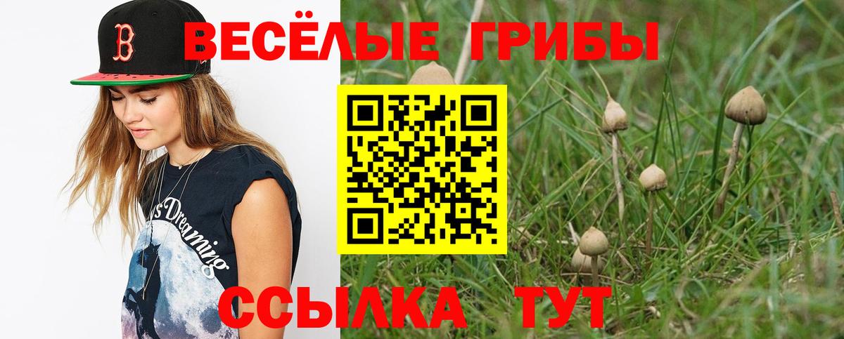 Галлюциногенные грибы прущие грибы Новокубанск