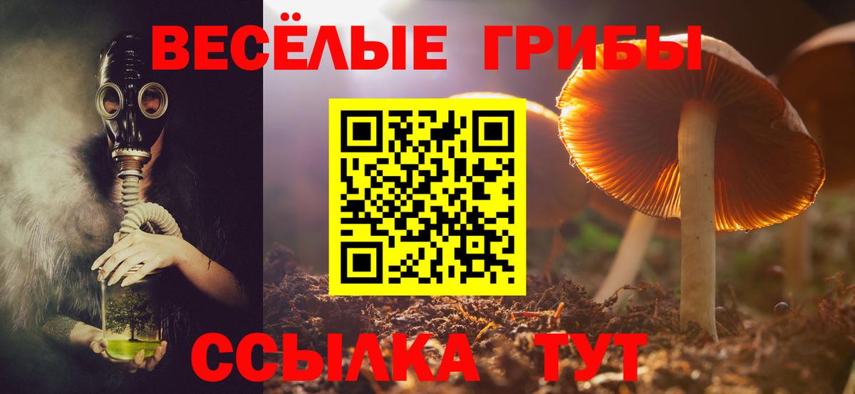 Галлюциногенные грибы прущие грибы  Вход с VPN  Новокубанск 