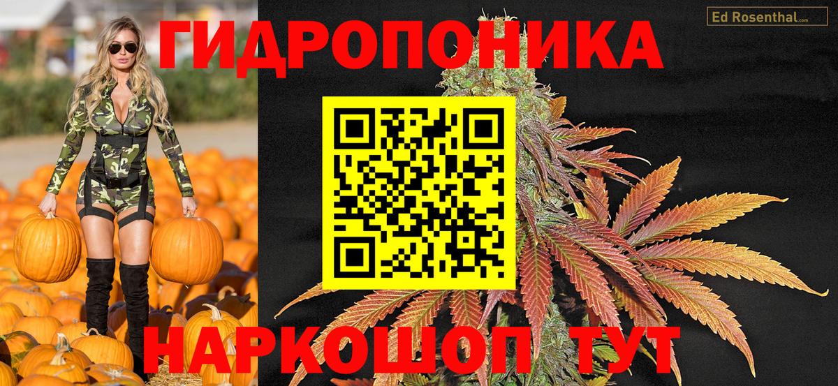 Канабис Ganja Новокубанск